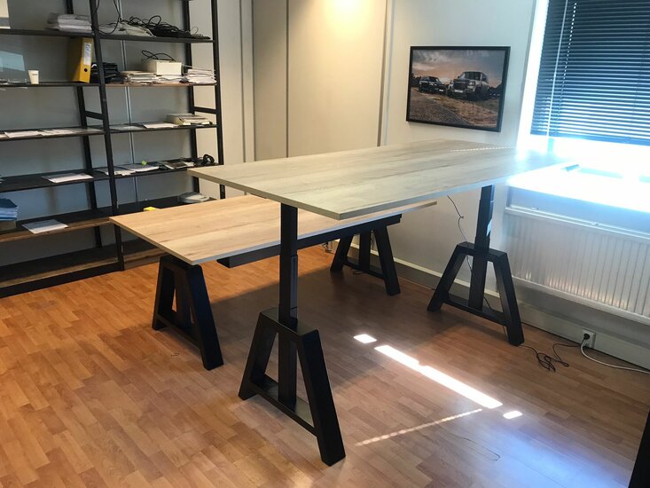 Design Hoog Laag Bureau - Elektrisch Zit-Sta Bureau - OakDesk - Worktrainer.nl 