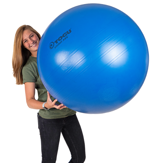 ABS Togu Powerball sitball officeball active meubliair officeball worktainer.nl worktrainer.com