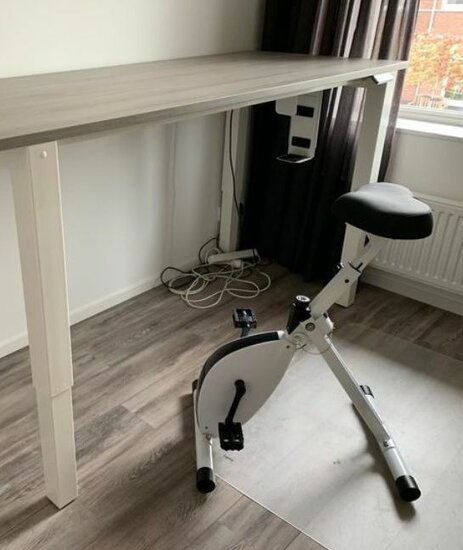 Deskbike Original