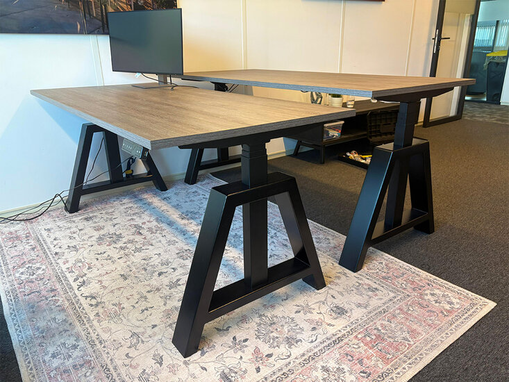 Design Hoog Laag Bureau - Elektrisch Zit-Sta Bureau - OakDesk - Worktrainer.nl 