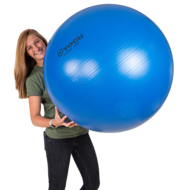 ABS Togu Powerball sitball officeball active meubliair officeball worktainer.nl worktrainer.com